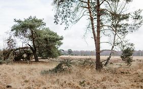 B&B Studiolke